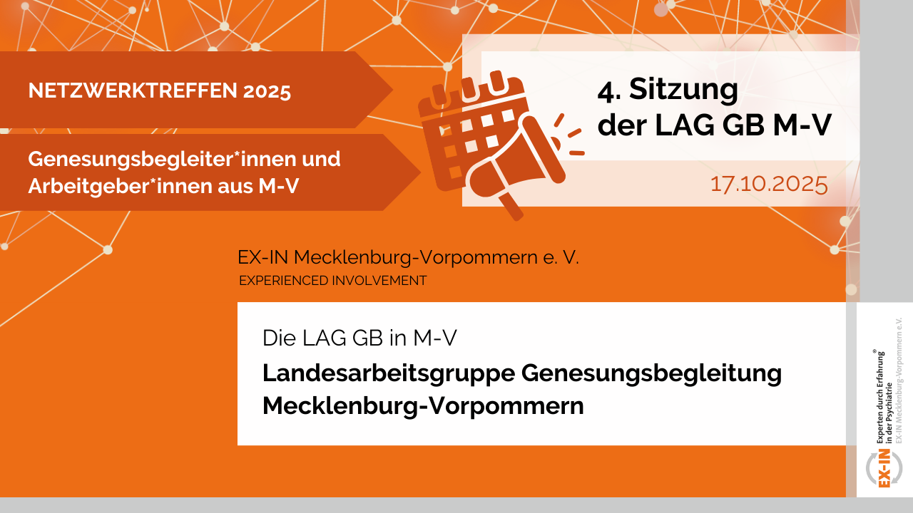 Mehr über den Artikel erfahren Rückblick Netzwerktreffen Genesungsbegleitung M-V am 17.10.2025 in Rostock