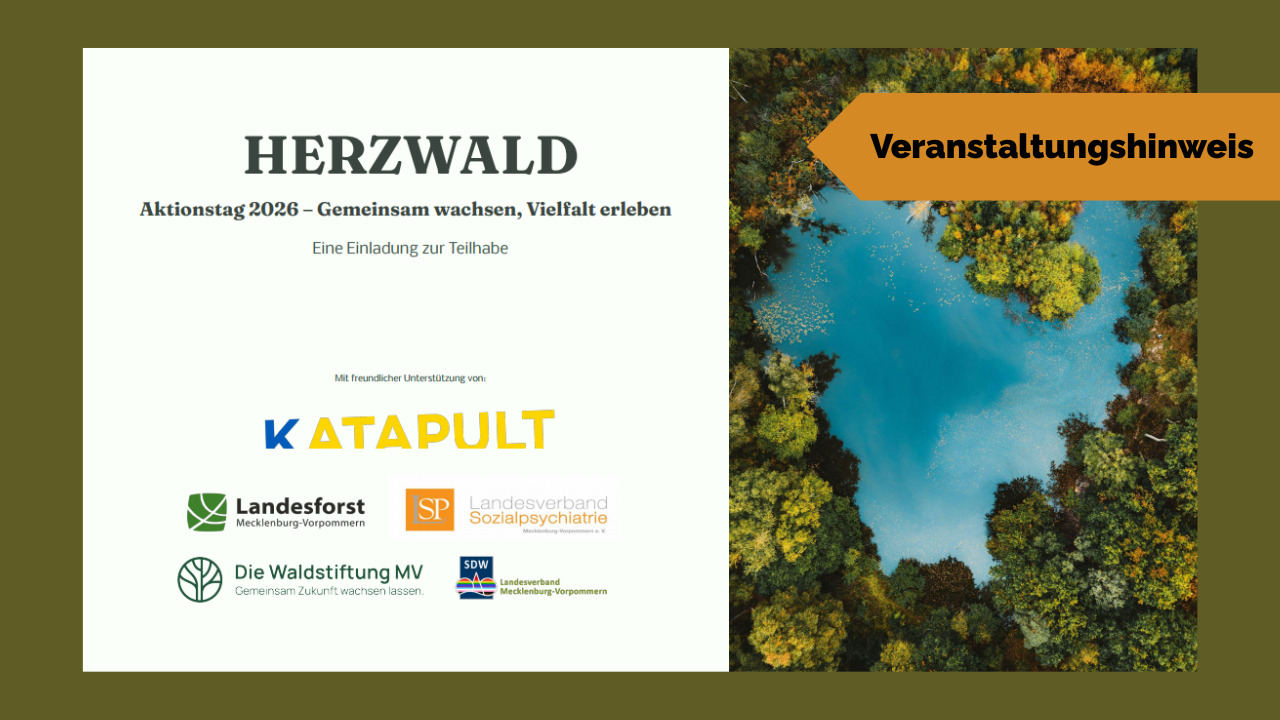 Mehr über den Artikel erfahren Aktionstag HERZWALD 2026 – Gemeinsam wachsen, Vielfalt erleben
