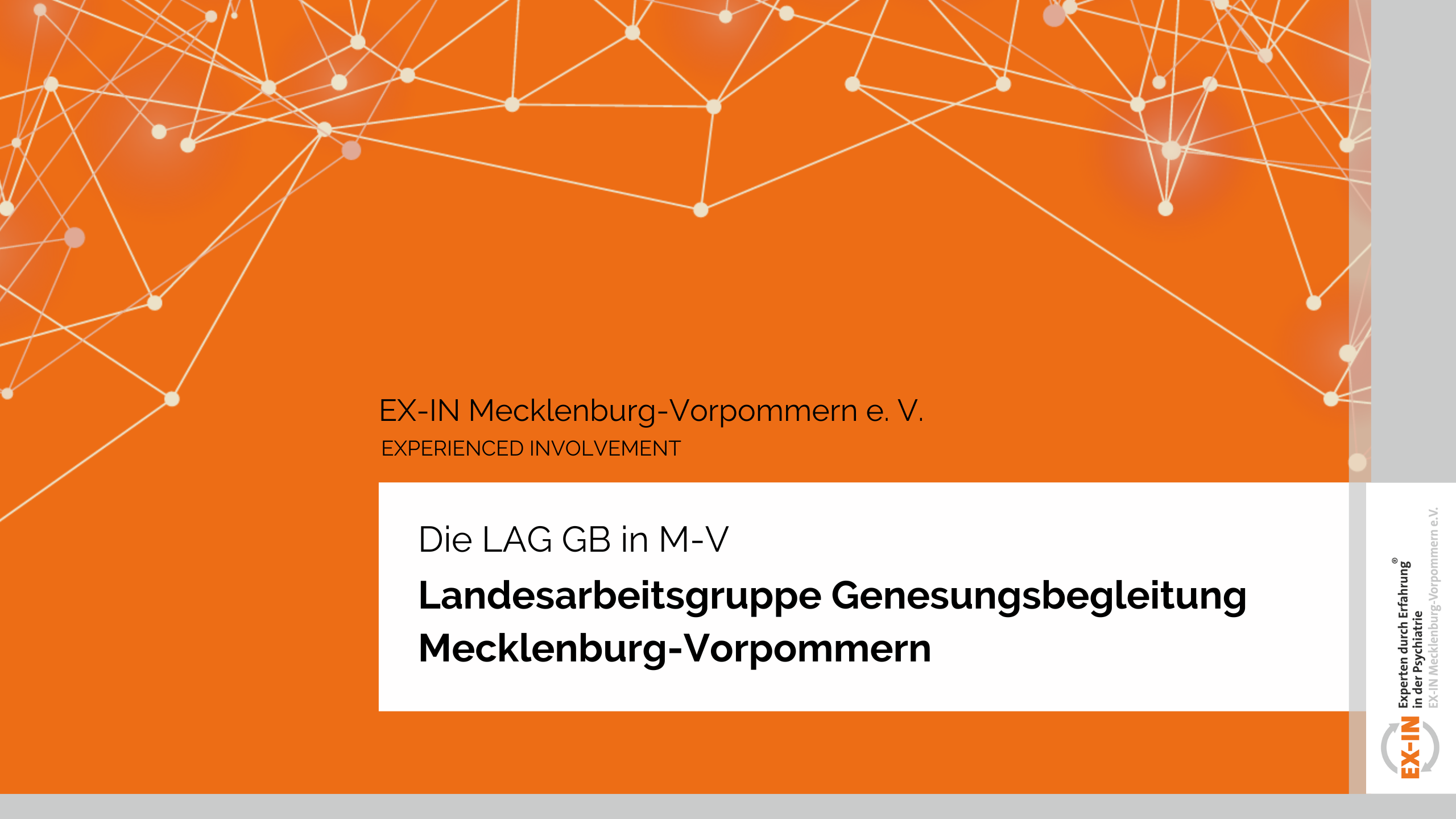 Read more about the article Gründung der Landesarbeitsgruppe Genesungsbegleitung in Mecklenburg-Vorpommern