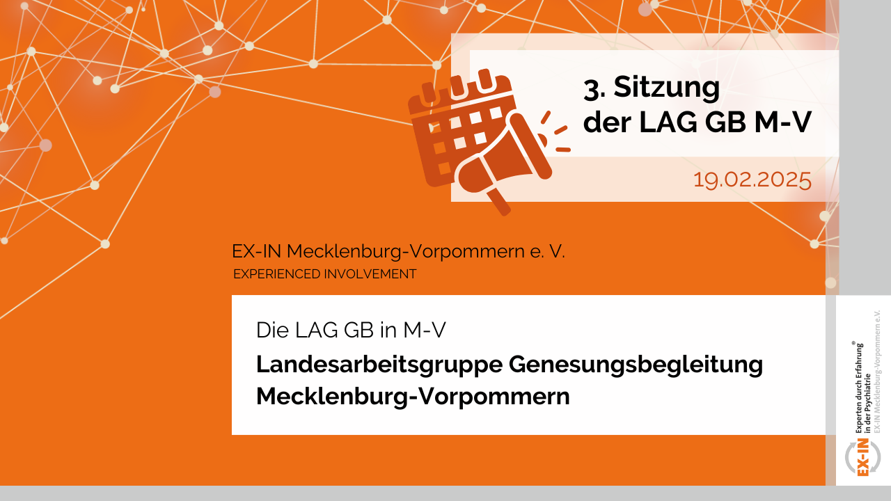 Du betrachtest gerade 3. Sitzung der Landesarbeitsgruppe Genesungsbegleitung M-V am 19.02.2025