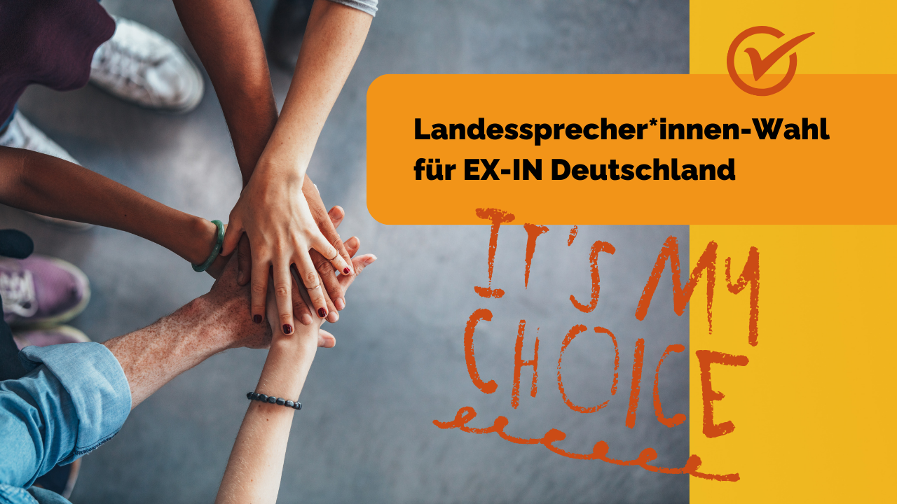 Read more about the article Landessprecher*in für den EX-IN Länderrat gesucht